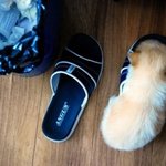 보는 순간 '<b>아</b>…' 소리<b>나</b>는 사진들