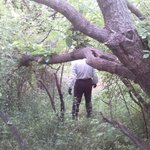 2009.05.27 <b>오디</b>를따러 김천 금오산 갔을때...