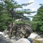 사랑하는동물들아,목에쇠줄좀<b>달지</b>말고다녀라,,