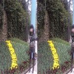 (사진有)20살에 153cm인...