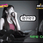 <b>2ne1</b> 박봄, g.d 강아지 가호 ,, 둘이 은근히 닮았어~