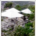 아파서 사랑을 포기했습니다...잘한건지...모르겠어요.