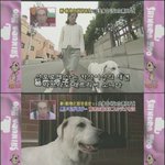 감동적인이야기(게시판 성격에 맞는지는 모르겠네요...)