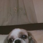 울 아들 수와 시원이~♡ <b>자태</b> 뽐내기~^^