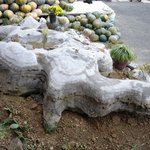 <b>이불속</b>의 금덩이