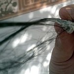 톡커님들, 껌은 <b>종이</b>에 싸서 버립시다.
