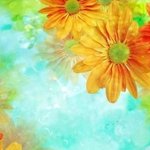 <b>바라</b>만봐도 편안해지는 사진들