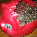 주식사려고 돼지를 뜯었어요. 사진有