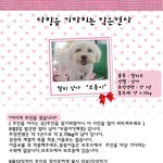 유기견에게사랑을♥(입양.<b>임</b><b>보</b>가능하신분 찾아요)