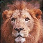 나같은 사람도 취직한다~!