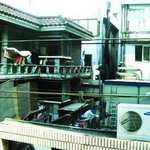 이웃집 <b>옥상</b>보다 기절하는 줄 알았어요