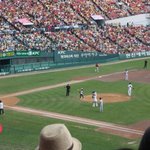 야구장 <b>시구때</b> 엉덩이 춤추는 카라한승연~!!!!