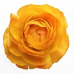 싸이월드 <b>메인</b>