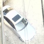 고속도로에 돈 다발을 날려봤습니다.<b>주범</b> 사진 있음