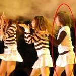 지나치게 귀여운 '티파니' 뱃살, 까꿍!