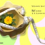 오프라윈프리와 안젤리나졸리가 했던 디톡스 tea 다이어트!