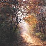 매력 &amp; 탄탄 몸매를 위한 주문,i <b>love</b> mountain!