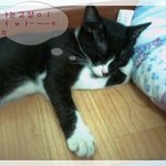 [사진有]심심해서 올려봐요~