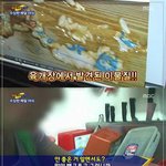 <b>끔찍</b>한 개 사랑...