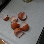 <b>계란</b>프라이할려고 <b>계란</b>을 깻더니 (사진有)