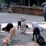 개브라<b>카다</b>브라