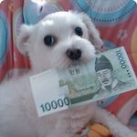 별난뚱이&amp;<b>얌전</b>한초롱~