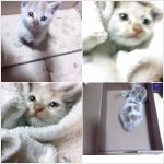 [[사진有]] 한번씩만봐주세요!!-사진추가