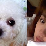 <b>울집</b> 개나리랑 박봄 담지 않았나여????ㅋㅋ