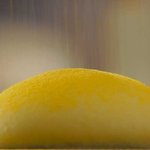 <b>빵</b>만드실때 올리고당 어떠세요?
