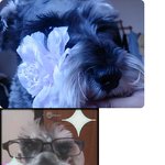 <b>울집</b> 귀염둥이