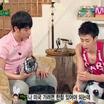 와일드바니 다시보기 하다가 ...