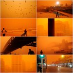 호주 시드니는 지금 붉은하늘! 모래폭풍왔어요ㅠㅠ (사진有)