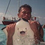 <b>2ne1</b> 박봄 닮은 해산물, 동물 모음ㅋㅋ