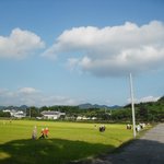 경남 진주 코스모스허수<b>아비</b>축제 사전 탐방기
