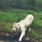 강간범 사진 !!! <b>아오</b> 진짜 !!