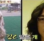 개 닮은 연예인들