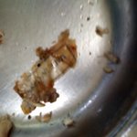 고3급식에 이런게있었어요ㅠㅠ(사진有)