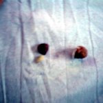 코<b>코볼</b>에서벌레가 나왓어요...ㅜ