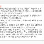 렌트카 쓰다 사고 나셨던 분들 또는 렌트카 사용예정이신분들 보세요...