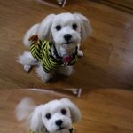도와주세요 ..