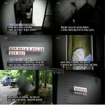 <b>나영</b>이사건그쓰레기가한행동입니다