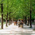 남자친구와 1박2일 남이섬 여행을 기획했는데 어떤가요, 조언해주세요^^