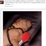 권지용이 올린 애견 가호 사진, 왤케 컸어ㄷㄷ