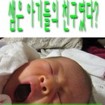 <b>아기들</b>이 진짜 너무 귀엽네요~