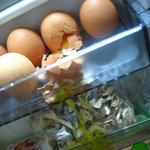 [사진有] 계란<b>홍수</b>....냉장고 참사