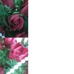 정말 객관적으로 판단해 주세요