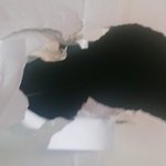 저희 기숙사에서 귀신이 나왔어요 사진有