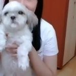 정말 너무 미안하다 재롱아