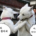 명절 길거리서 흔히 보는 <b>싸움판</b>