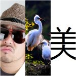 안녕하세요. 슈퍼스타k <b>길학미</b> 입니다.